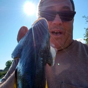 Meet your Posher, Dave maddog